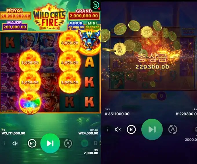 Wild Cats Fire 슬롯 당첨내역 이미지 슬롯머신후기 온라인슬롯추천 당첨금 229,300.00