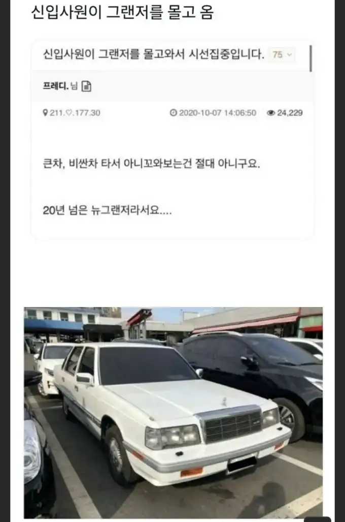 20260829023436IMG_2681.jpeg