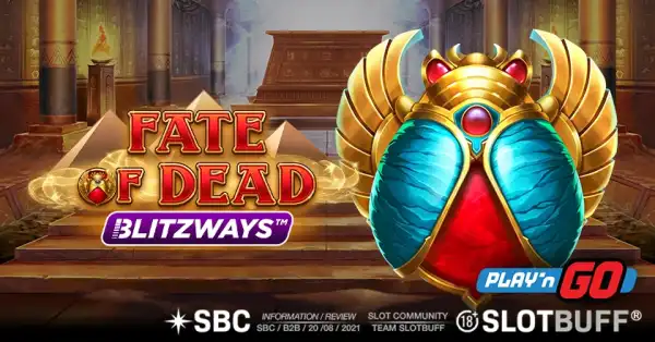 페이트 오브 데드 블리츠웨이 [플레이엔고]