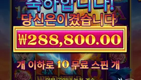 제휴 바오 후기 - 슬롯게임 리뷰